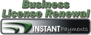 Instant Payment Button Business