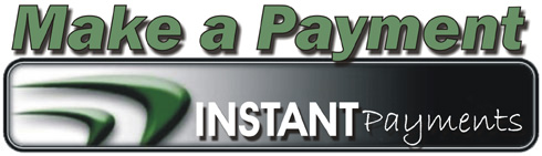 Instant Payment Button